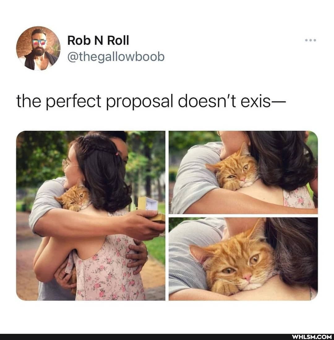 the perfect proposal doesn't exis-