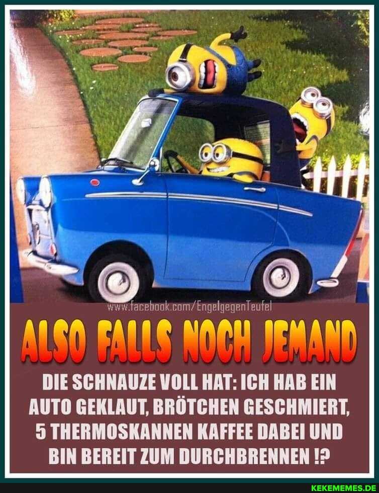 DIE SCHNAUZE VOLL HAT: ICH HAB EIN AUTO GEKLAUT, BRÖTCHEN GESCHMIERT,
THERMOSKANNEN KAFFEE DABEI UND BIN BEREIT ZUM DURCHBRENNEN