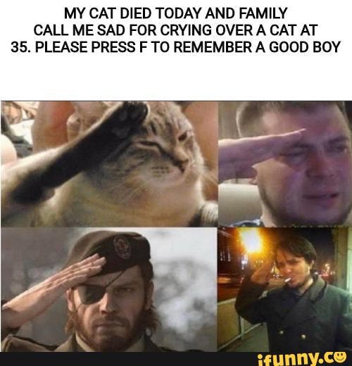 MY CAT DIED TODAY AND FAMILY CALL ME SAD FOR CRYING OVER A CAT AT
35. PLEASE PRESS F TO REMEMBER A GOOD BOY