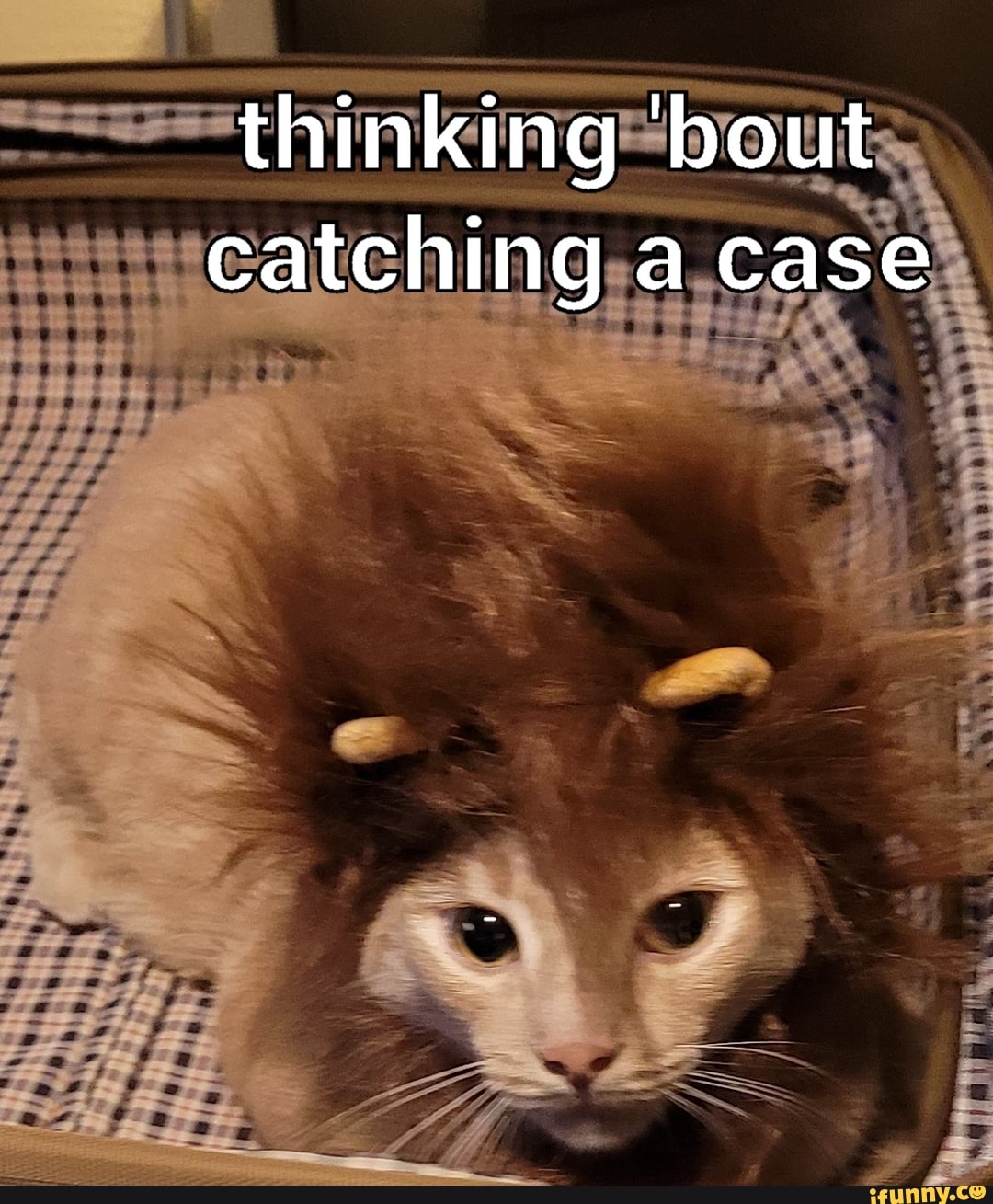 Thinking 'bout catching a case iFunny