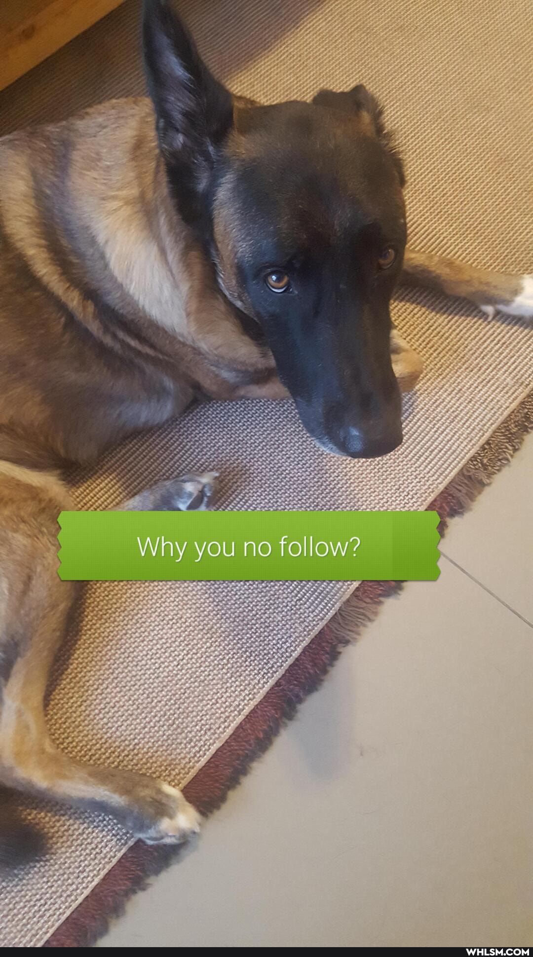 Why you no follow?