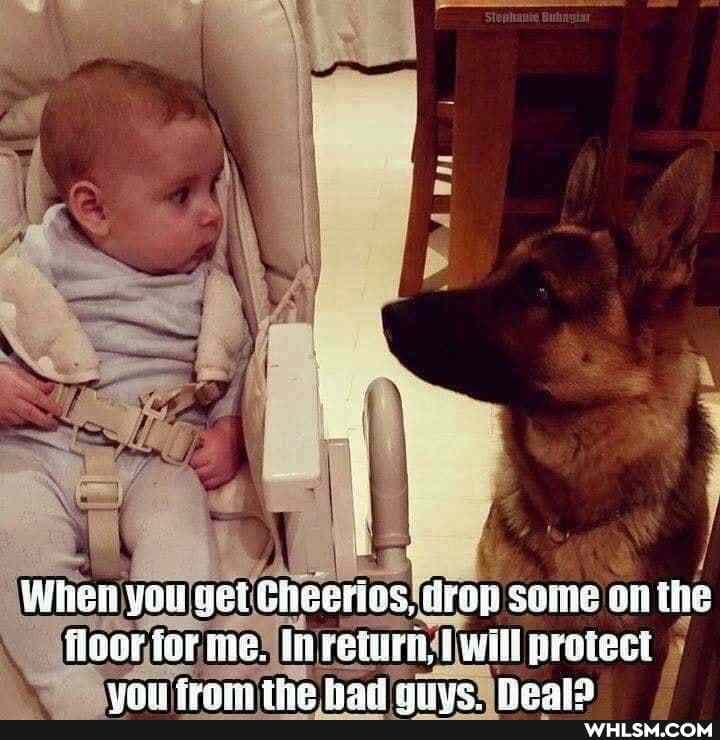 When you get Cheeries, iro some on the floor ior ine. In redurn. will protect tive fail anys. Deals