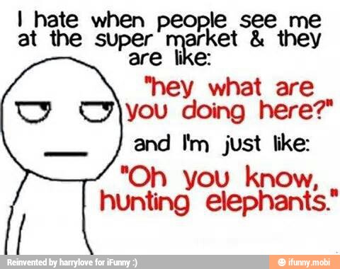 "hey what are
Ww you
doing here?"
a
"Oh you know hunting lephants"