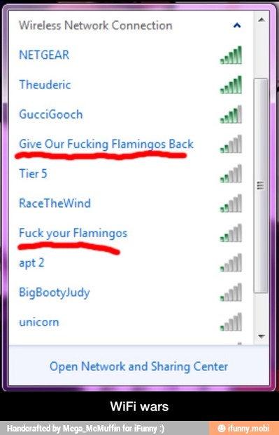 Wireless Netw
NETGEAR
Theud
Give Our
Fucking Flamingos Back
Tier 5
Fuck your
Flamingos
Open Network and
Sharing Center
WiFi wars - WiFi wars