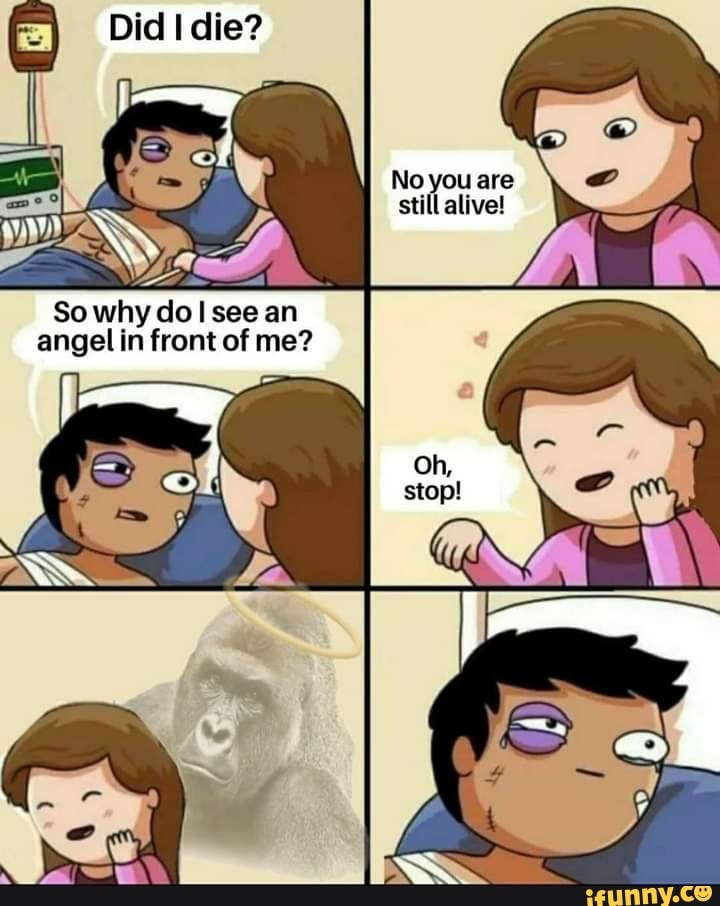 Did I die? No you are still alive! So why do see an angel in front of