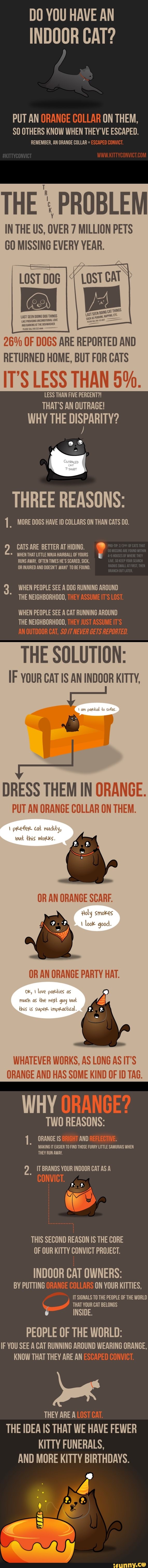 DO YOU HAVE AN
INDOOR CAT?
PUT AN ORANGE COLLAR ON THEM,
SO OTHERS KNOW WHEN THEY'VE ESCAPED.
REMEMBER, AN ORANGE COLLAR = ESCAPED CONVICT.
THE I PROBLEM
IRA
GO MISSING EVERY YEAR.
z
A
Lost pos I
LOSTCAT Y