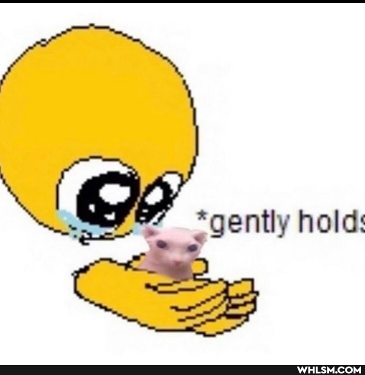 *gently hold: