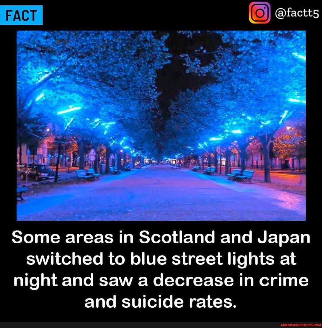 Some areas in Scotland and Japan switched to blue street lights at night and saw a decrease in crime and suicide rates.