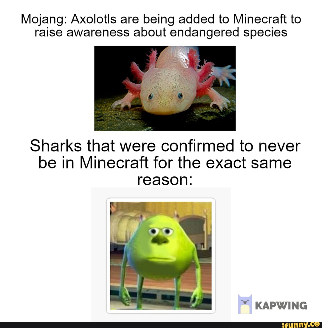 Mojang Axolotls Are Being Added To Minecraft To Raise Awareness About Endangered Species Sharks That Were Confirmed To Never Be In Minecraft For The Exact Same Reason Kapwing Ifunny