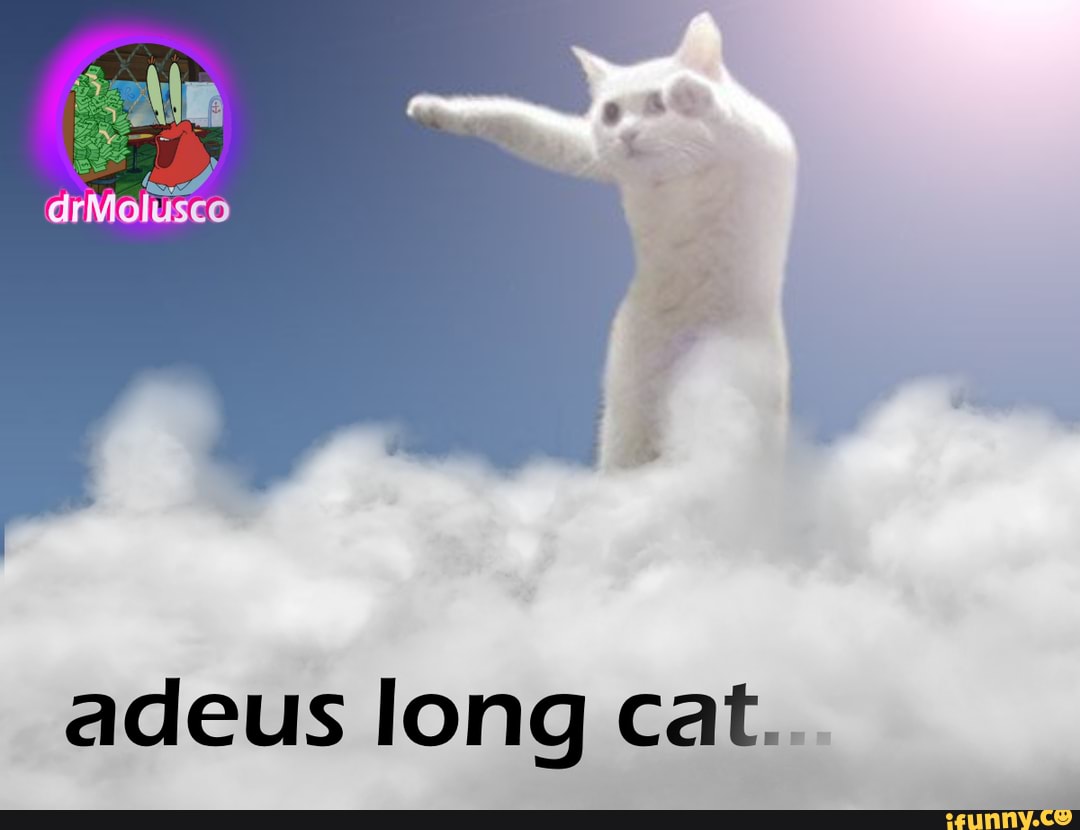 Ale
drMolusco
adeus long cat..