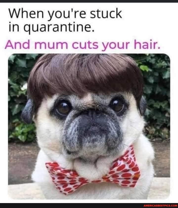 When you're stuck in quarantine.
And mum cuts your hair.