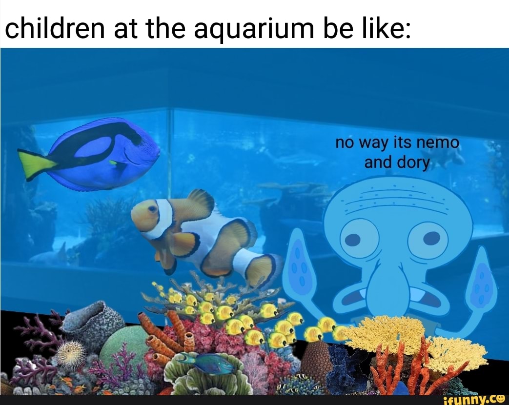 children at the aquarium be like:
and dory
no way its neme