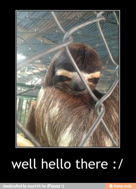 well hello there - well hello there :/