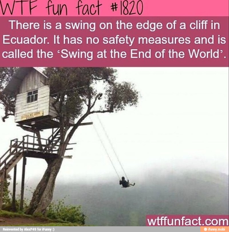 E
There is a swing on the edge of a cliff in
Ecuador. It has no safety measures and is
called the 'Swing at the End of the World'.