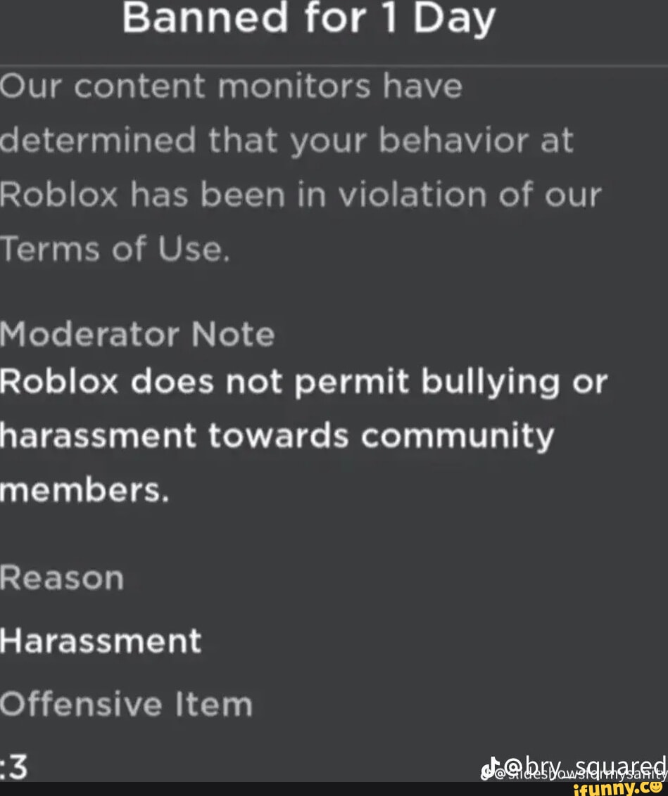 Banned For Day Our Content Monitors Have Determined That Your Behavior At Roblox Has Been In 