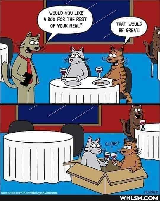 WOULD YOU LIKE A BOX FOR THE REST OF YOUR MEAL?
THAT WOULD BE GREAT.