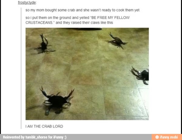 'frostyclyde
so my mom bought some crab and she wasn't ready to cook them yet
50 put them on the ground and yelled "BE FREE MY FELLOW
CRUSTACEANS." and they raised their claws ike this