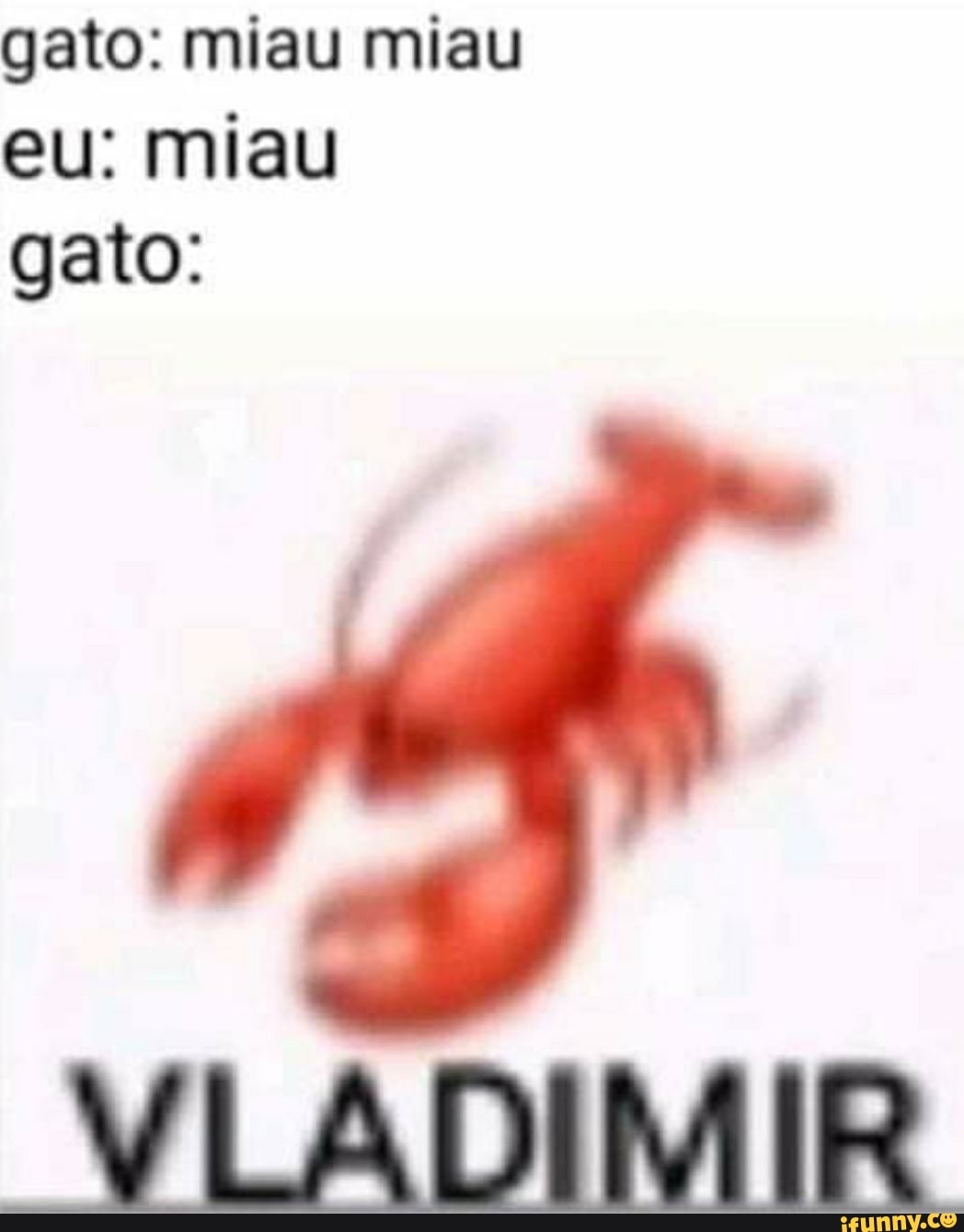gato: miau miau eu: miau gato: