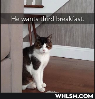 He wants thifd breakfast.