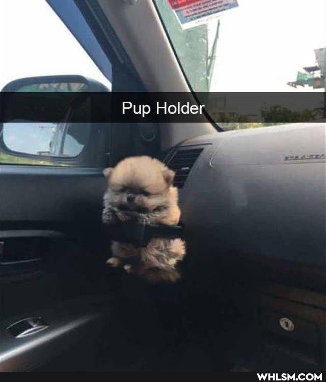 raw Pup Holder
Pup Holder