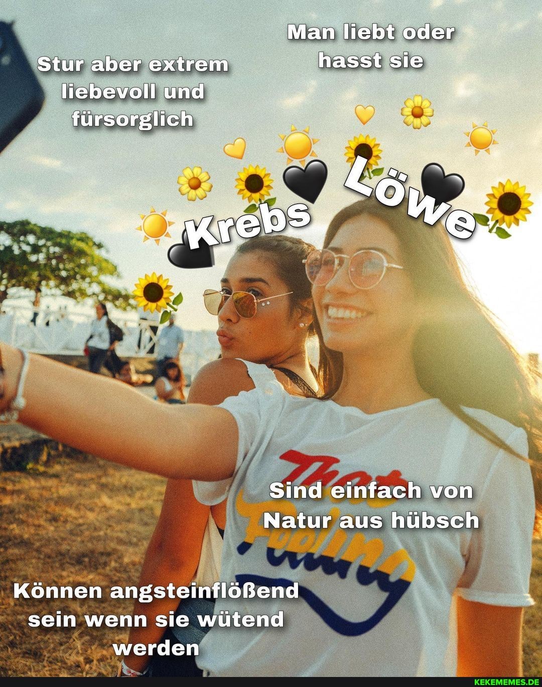 Man liebt oder
Stur aber extrem hasst sie liebevoll und fürsorglich
Sind einfach von
Natur aus hübsch
Können angsteinflößend sein wenn sie wütend werden