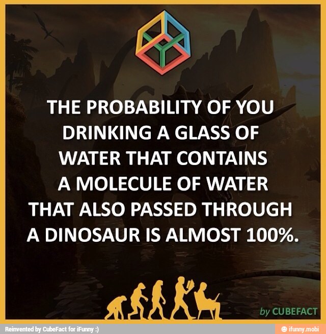 THE PROBABILITY OF YOU
DRINKING A GLASS OF
WATER THAT CONTAINS
A MOLECULE OF WATER
THAT ALSO PASSED THROUGH
A DINOSAUR IS ALMOST 100%.