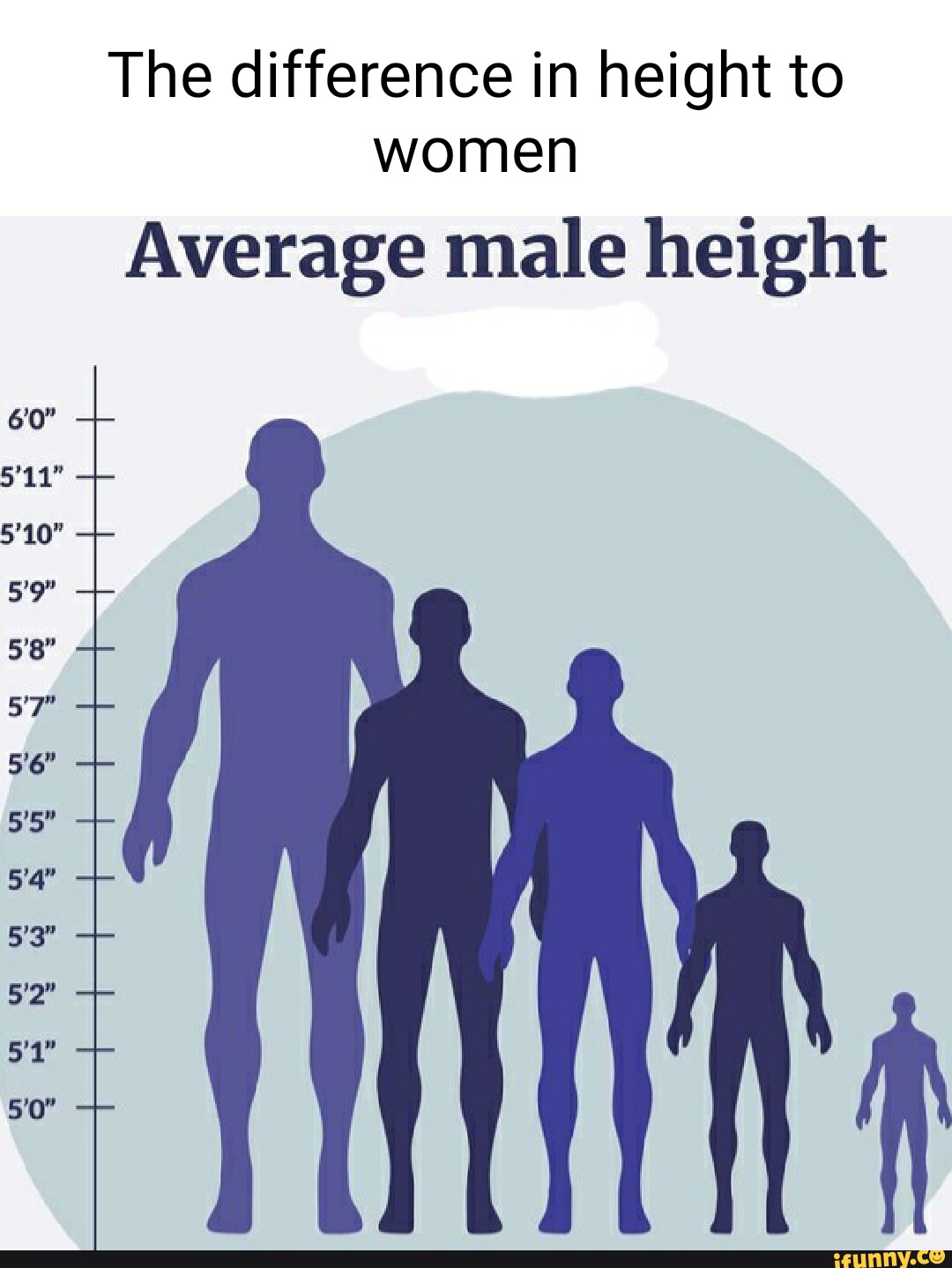 Average Male Height 2024 ❤️