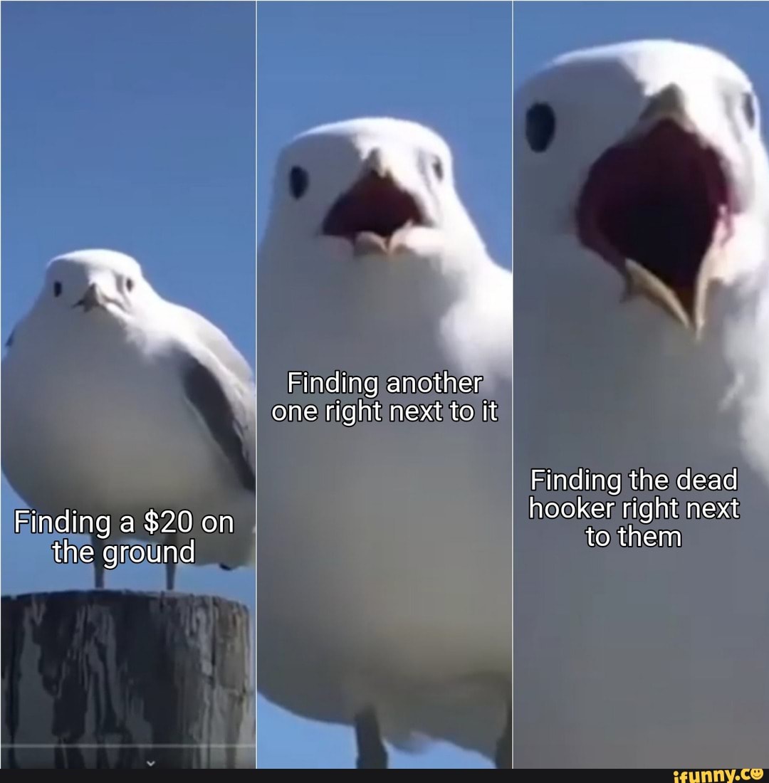 XDD
