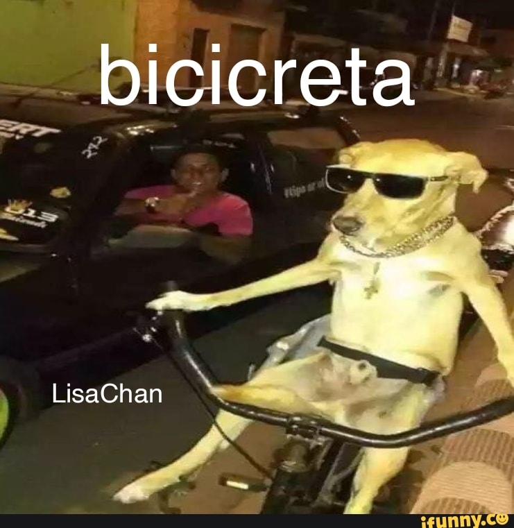 memeparacomentarios, animais, cachorro, catioro