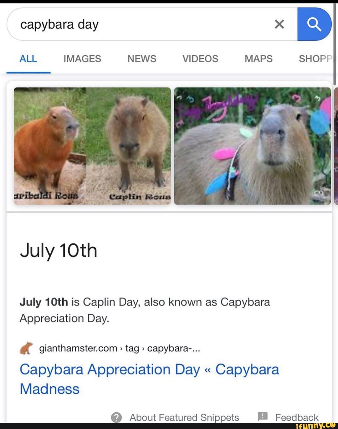 Capybara day ALL IMAGES NEWS VIDEOS MAPS SHOPF July 10th July 10th is