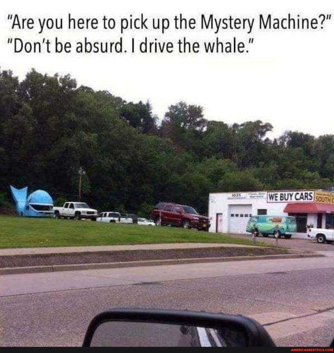 "Are you here to pick up the Mystery Machine?"
"Don't be absurd. I drive the whale."