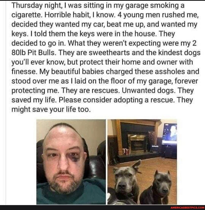 Thursday night, I was sitting in my garage smoking a cigarette. Horrible habit, I know. 4 young men rushed me, decided they wanted my car, beat me up, and wanted my keys. I told them the keys were in the house. They decided to go in. What they weren't expecting were my 2
Pit Bulls. They are sweethearts and the kindest dogs you'll ever know, but protect their home and owner with finesse. My beautiful babies charged these assholes and stood over me as I laid on the floor of my garage, forever protecting me. They are rescues. Unwanted dogs. They saved my life. Please consider adopting a rescue. They might save your life too.