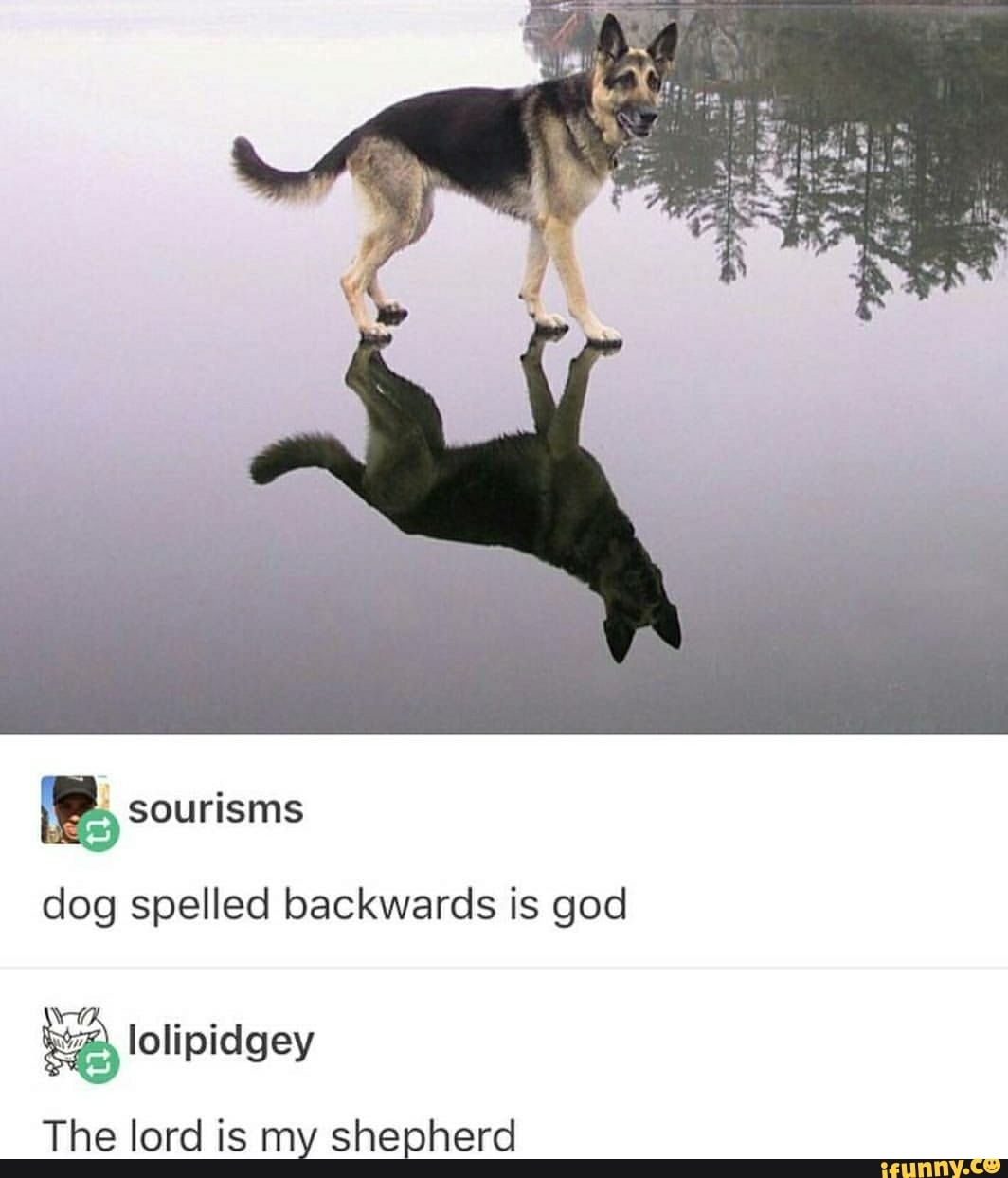 Dog Spelled Backwards Is God The Lord Is My Shepherd Ifunny