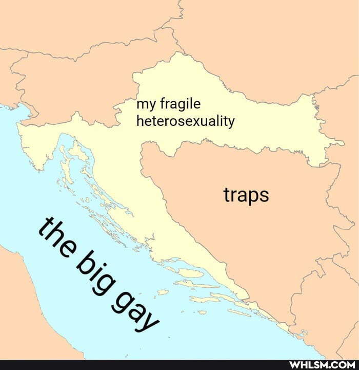 my fragile heterosexuality
traps