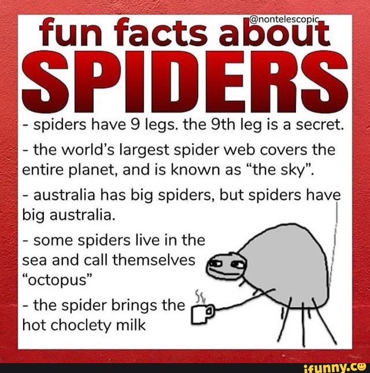Fun facts about SPIDERS spiders have 9 legs. the 9th leg is a secret. the world