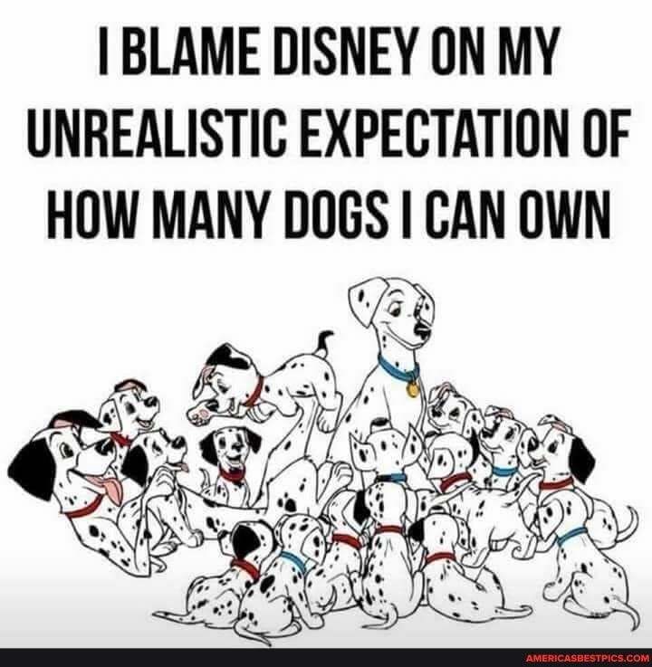 I BLAME DISNEY ON MY UNREALISTIC EXPECTATION OF HOW MANY DOGS I CAN OWN