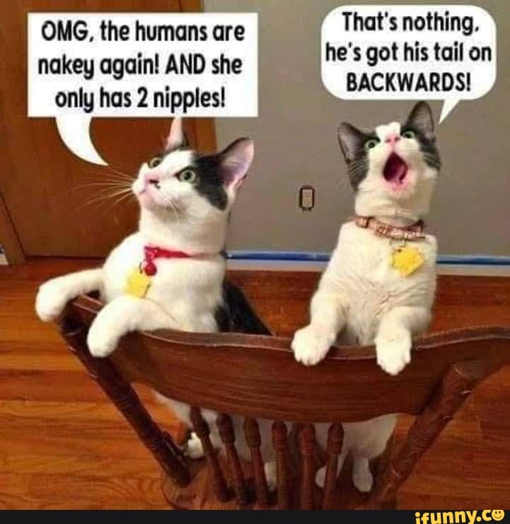 OMG, the humans are nakey again! AND she only has 2 nipples! That&#39;s  nothing, he&#39;s got his tail on BACKWARDS! - )
