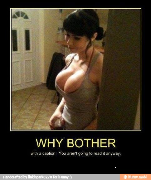 WHY BOTHER
with a caption: You aren't going to read it anyway. - .