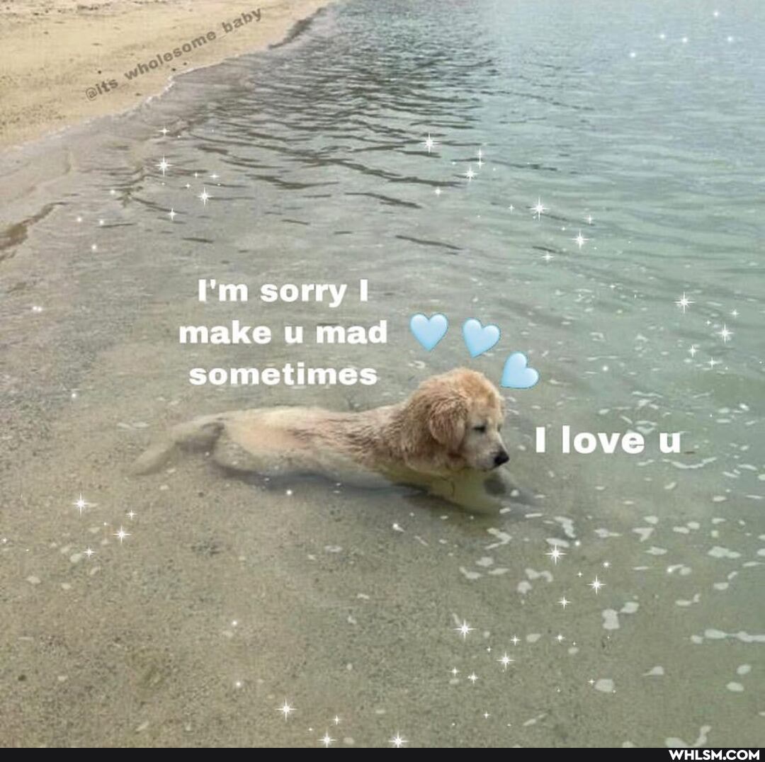 I'm sorry I make u mad sometimes
lloveu