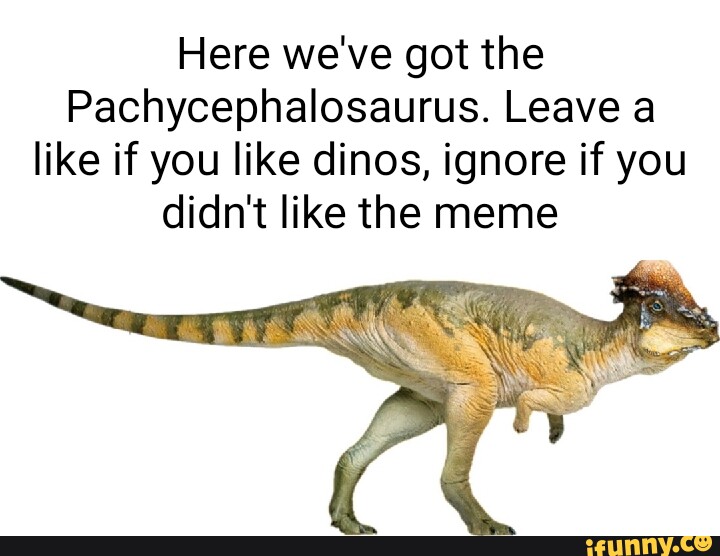 Here We've Got The Pachycephalosaurus. Leave A Like If You Like Dinos 