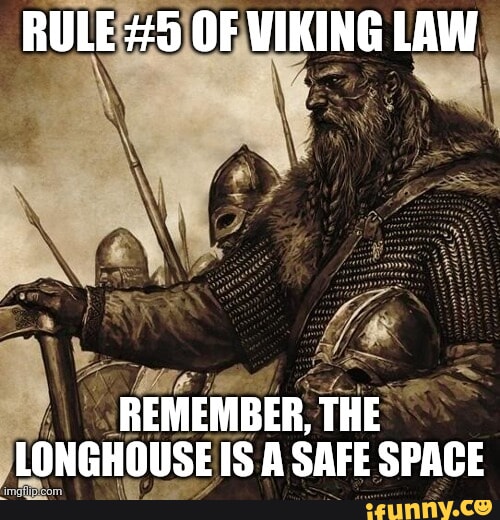 RULE #5 OF VIKING LAW REMEMBER, THE LONGHOUSE IS A SAFE SPACE - iFunny