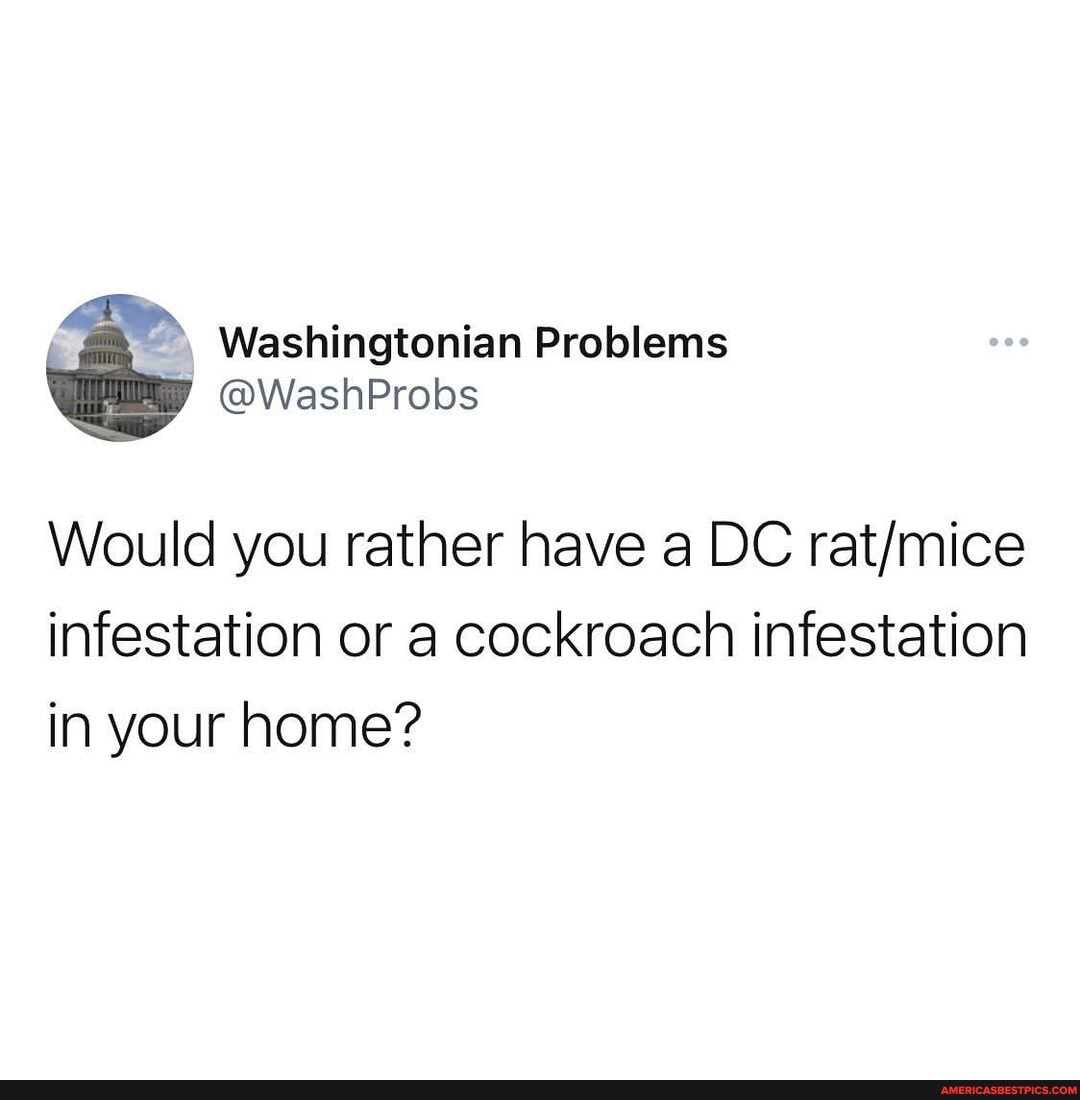 Would you rather have a DC infestation or a cockroach infestation in ...