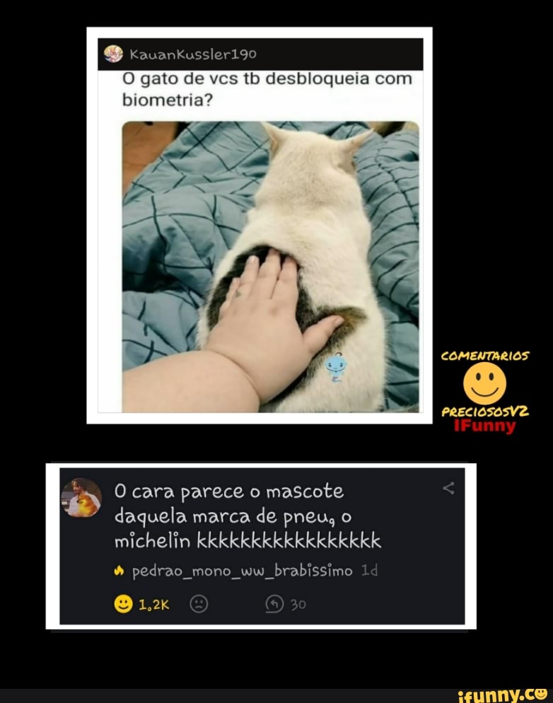 O gato de vcs tb desbloqueia com biometria?
O cara parece o mascote daquela marca de pneu,