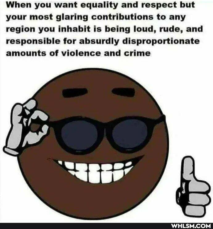 When you want equality and respect but your most glaring contributions to any region you inhabit is being loud, rude, and responsible for absurdly disproportionate amounts of violence and crime