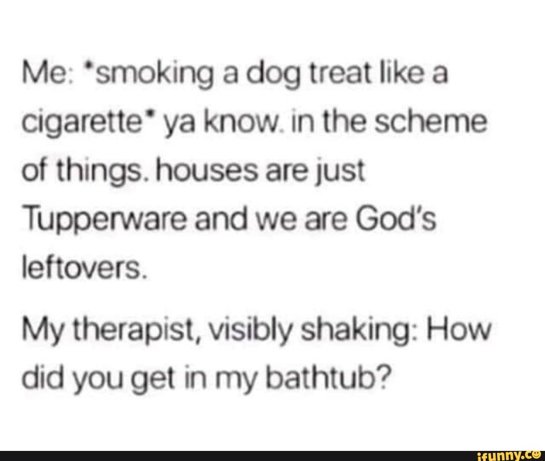 Me: “smoking a dog treat like a
cigarette' ya know. In the scheme
of things. houses are just
Tupperware and we are God's
leftovers.
My therapist, visibly shaking: How
did you get in my bathtub?