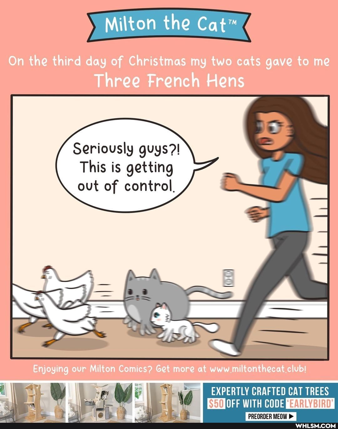 Milton the
On the third day of Christmas my two cats gave to me
Three French Hens
Seriously guys?!
This is getting out of control,
Enjoying our Milton Comics? Get more at www miltonthecat clubl
II EXPERTLY CRAFTED CAT TREES
(SSUJOFF WITH CODE