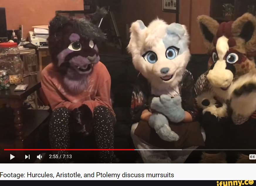 Murrsuits