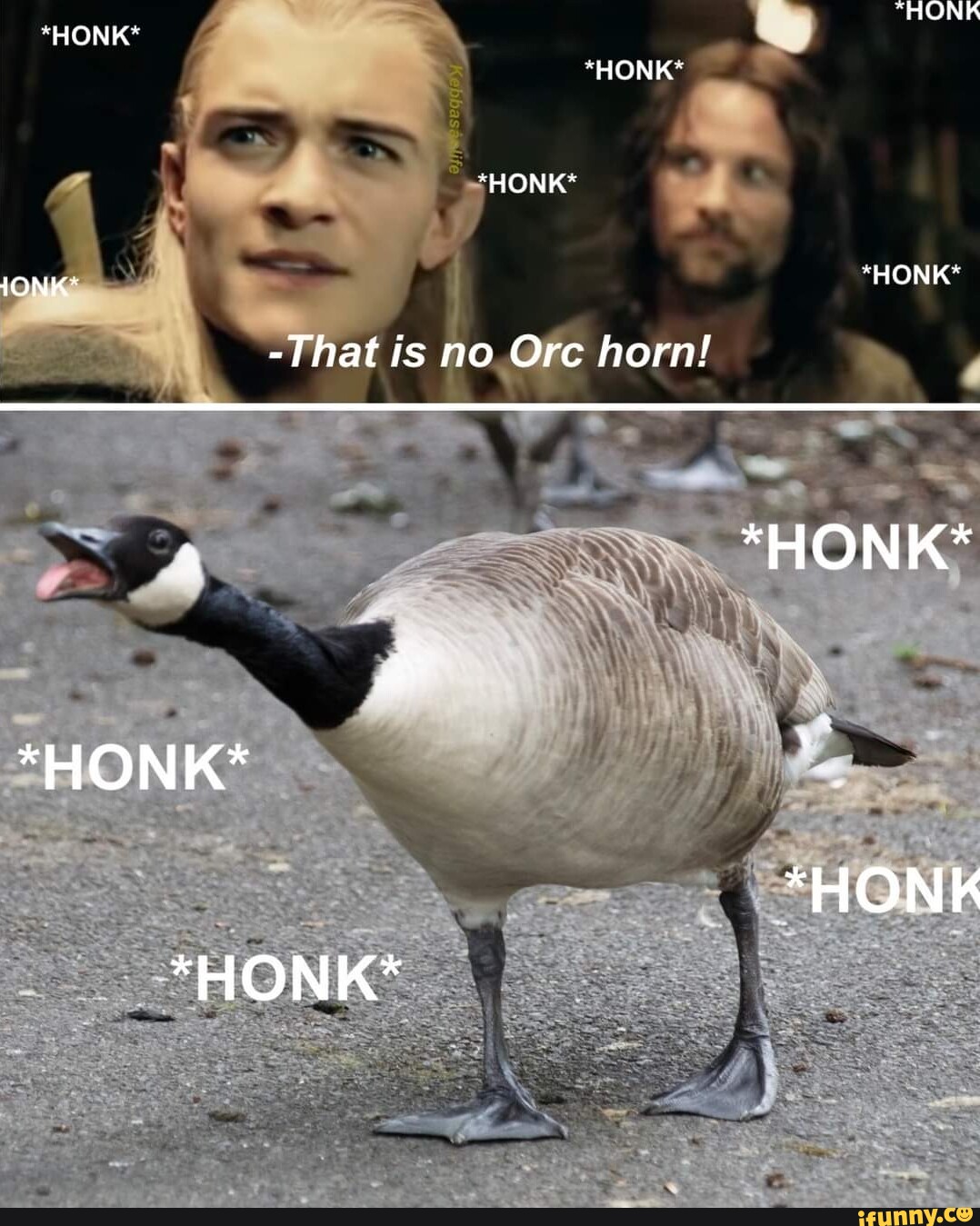 "HONK *HONK* *HONK* *"HONK* iONK' *HONK* That is no Ore horn! *HONK