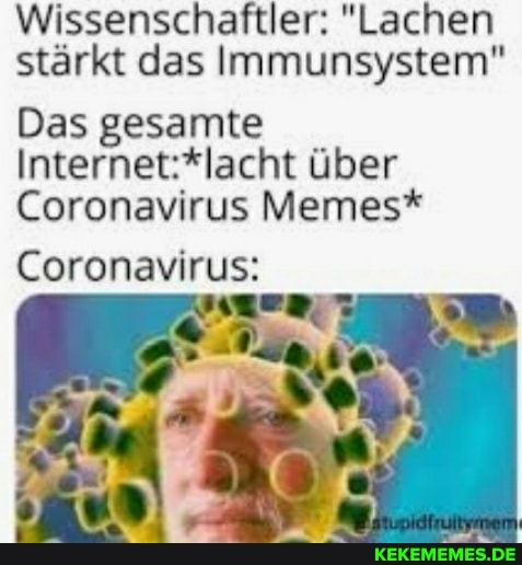 Wissenschaftler: "Lachen stärkt das Immunsystem"
Das gesamte über
Coronavirus Memes*
Coronavirus: