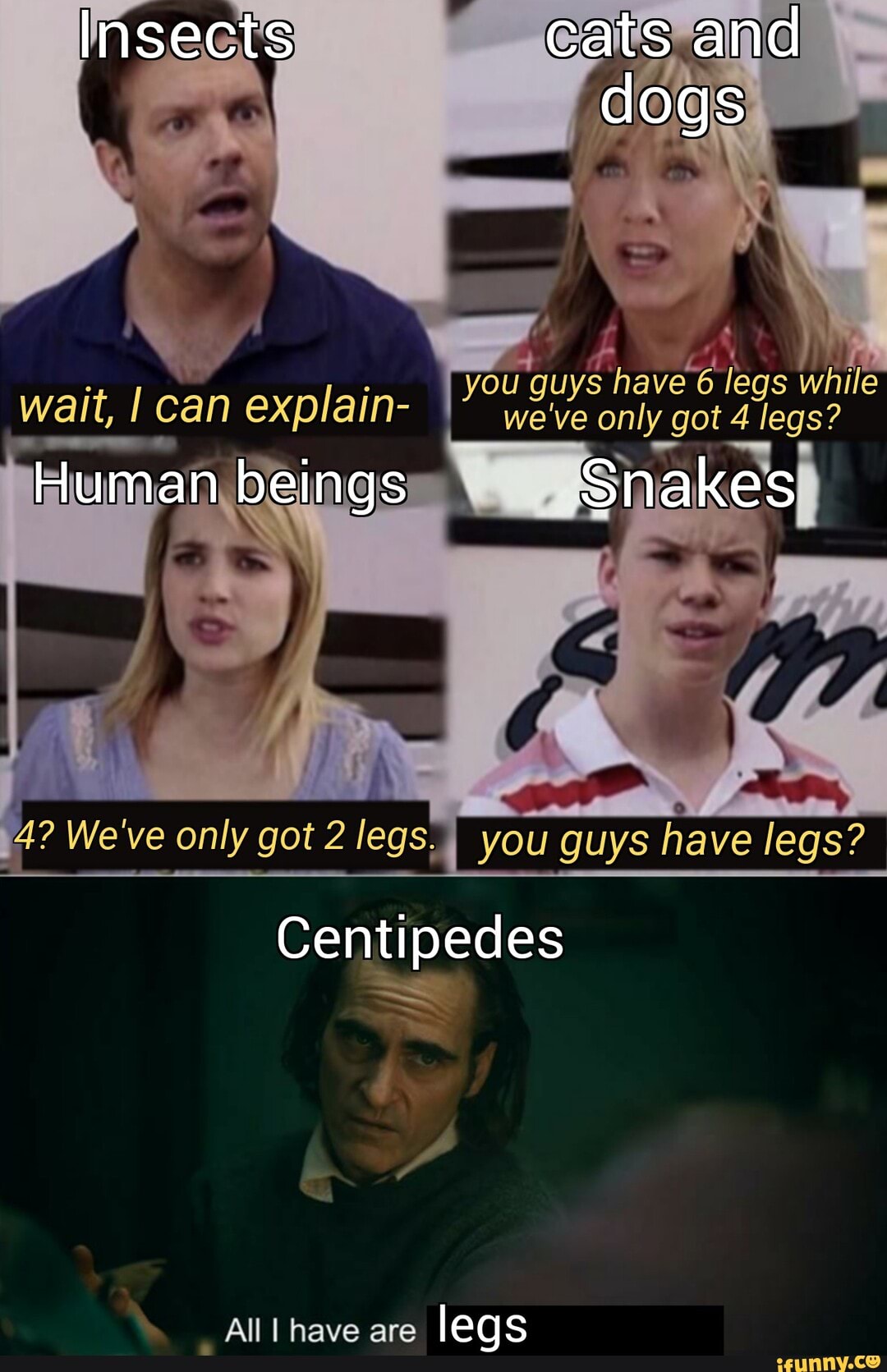 Insects
\ doge
you guys have 6 legs while wait, can explain- we've only got 4 legs?
bein
4? We've only got 2 legs, I you guys have legs?
Centipedes
All I have are legs